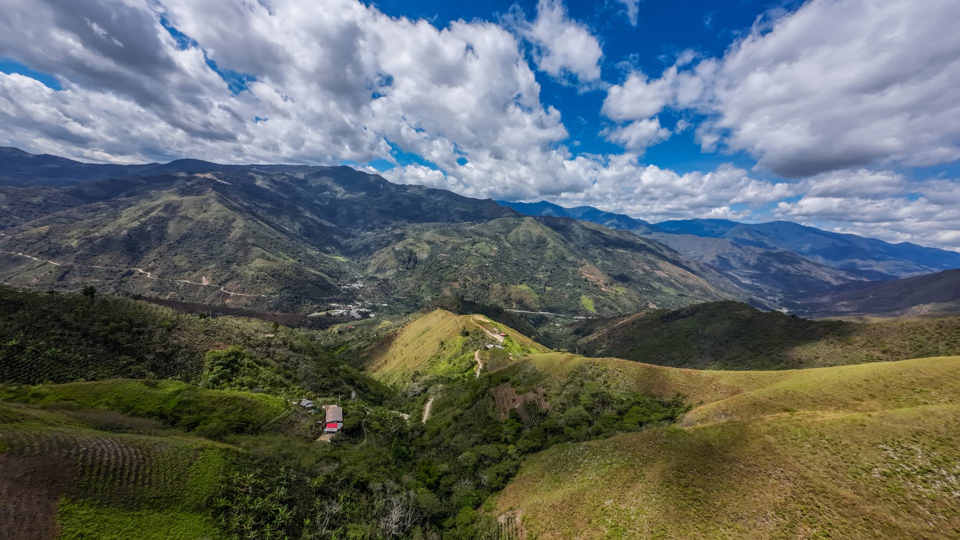 Paisaje cafetalero en Jaén, Amazonía peruana