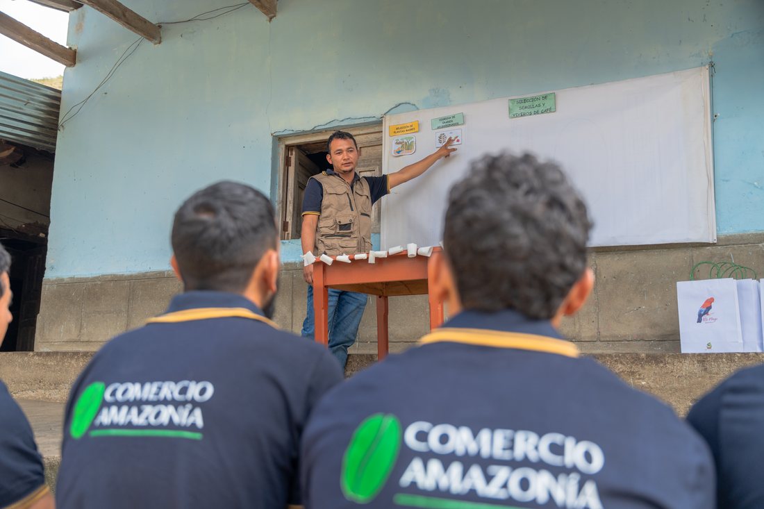 Asistencia técnica